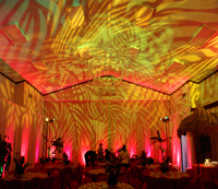 Tropical Wedding- 3